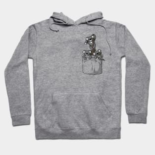 Pocket Koala Bears Hoodie